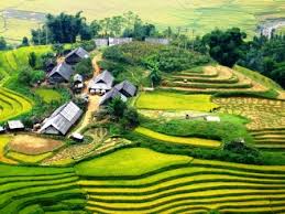 Sapa Homestay Tours Villages