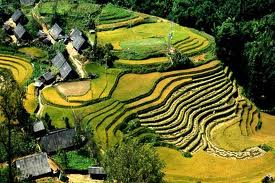 Sapa Trekking Homestay Trips