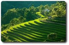 Sapa Great Adventure Trek Homestay Tours